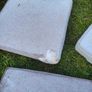 Garden cushion Image 6
