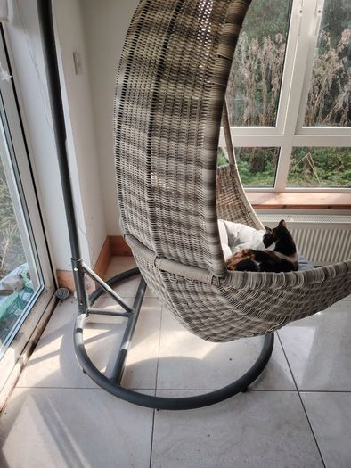 Egg seat