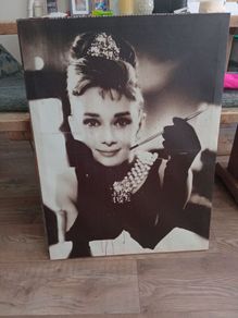 picture of Audrey Hepburn