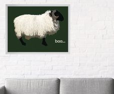 Blackface Mountain Sheep Achill, 2D framed 16 x 12 inch