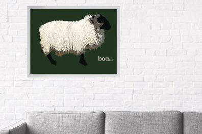 Blackface Mountain Sheep Achill, 2D framed 16 x 12 inch