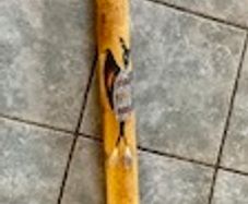 Digeridoo
