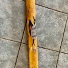 Digeridoo
