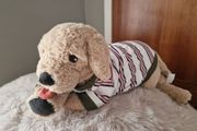 Dog Cloth