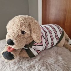 Dog Cloth