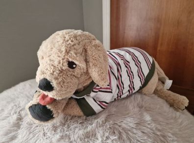 Dog Cloth