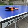As new Table Tennis table Image 6