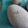 bundle of 6 moth to flame candles Image 4