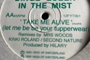 1993 Dinge queen in the mist - Take me alive (let me be your tupperwear) 12" vinyl