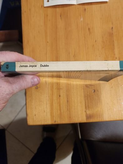 James Joyce Dublin. German Version  By Fischer Boucherei. 1961 First Edition Paperback In Good Condition.