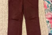 Zara Burgundy Skinny Biker Jeans
