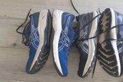 trainers