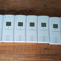 Digital thermometer