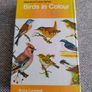 Birds in Colour by Bruce Campbell 1974 hardback with dustcover in good condition with some signs of wear on the dustcover see photos over 200 colour illustrations FREE STANDARD POSTAGE INCLUDED Image 2