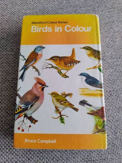 Birds in Colour by Bruce Campbell 1974 hardback with dustcover in good condition with some signs of wear on the dustcover see photos over 200 colour illustrations FREE STANDARD POSTAGE INCLUDED