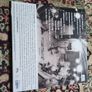 Sonic youth: experimental jet set trash and no star LP Image 2