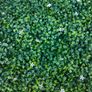 Free Playwood+fake Grass, Used For Wedding Decor Image 3