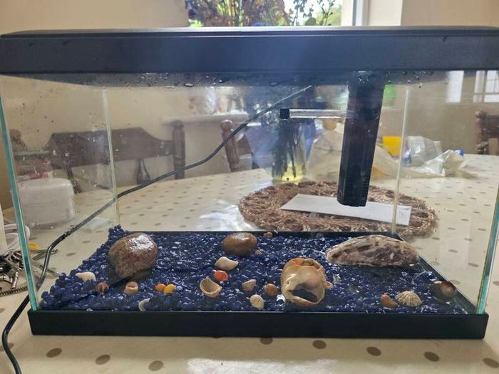 Fish Tank  Aquarium