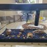 Fish Tank  Aquarium Image 2