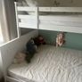 double bunk bed Image 2