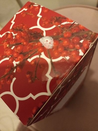 Irish botanical Berry diffuser