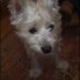 camillaF