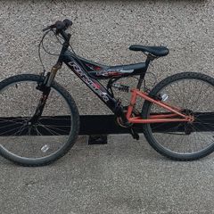 Teenage bicycle