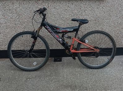 Teenage bicycle