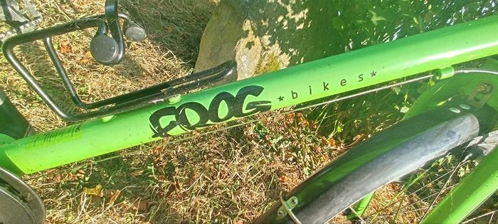 frog bike