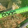 frog bike Image 5