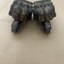 Vintage Antique Brass Claw Feet table/chair leg ends Image 2