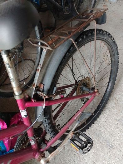 Free Raleigh Bike