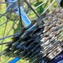 Vintage Rossin Road Bike Image 10