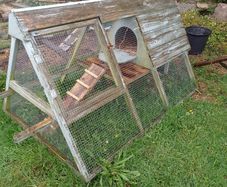 Hen house