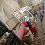 clearing shed Image 4