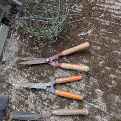 Garage Sale: Garden Shears