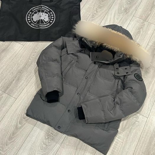 canada goose