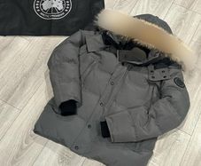 canada goose