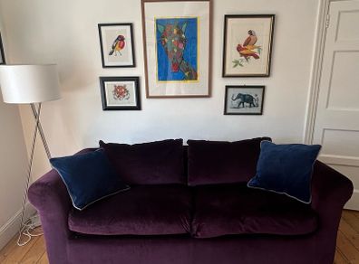 Habitat Louis Velvet Sofa Bed