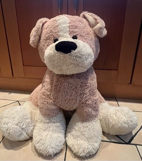 Teddy