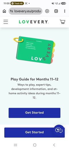 Lovevery The Thinker Play Guide 11-12 Months
