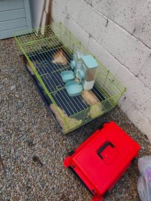 Rabbit cage, carrier and food and water feeders