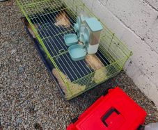 Rabbit cage, carrier and food and water feeders