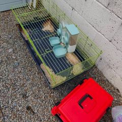 Rabbit cage, carrier and food and water feeders