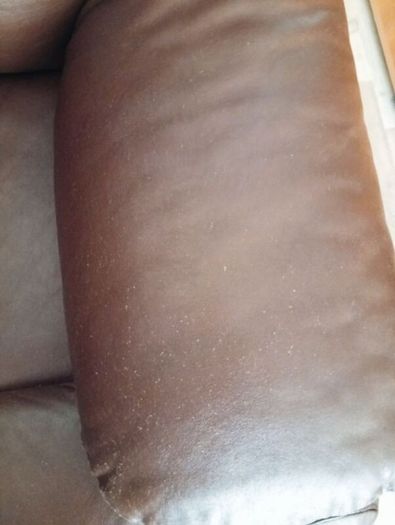 Brown single recliner sofa/chair
