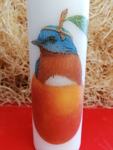 3 for 20e !!! Decorative brand new summer candle gift set artichoke strawberry peach birds