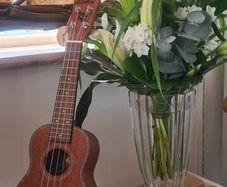 Brand New laka Ukulele