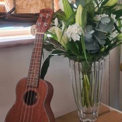 Brand New laka Ukulele