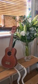 Brand new Laka Soprano Ukulele with padded case