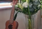 Brand new Laka Soprano Ukulele with padded case